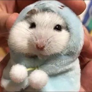 Meet your Posher, Emi